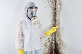 Best Environmental Consulting for Mold Prevention  in North Lima, OH